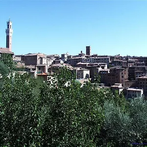 Camollia Siena