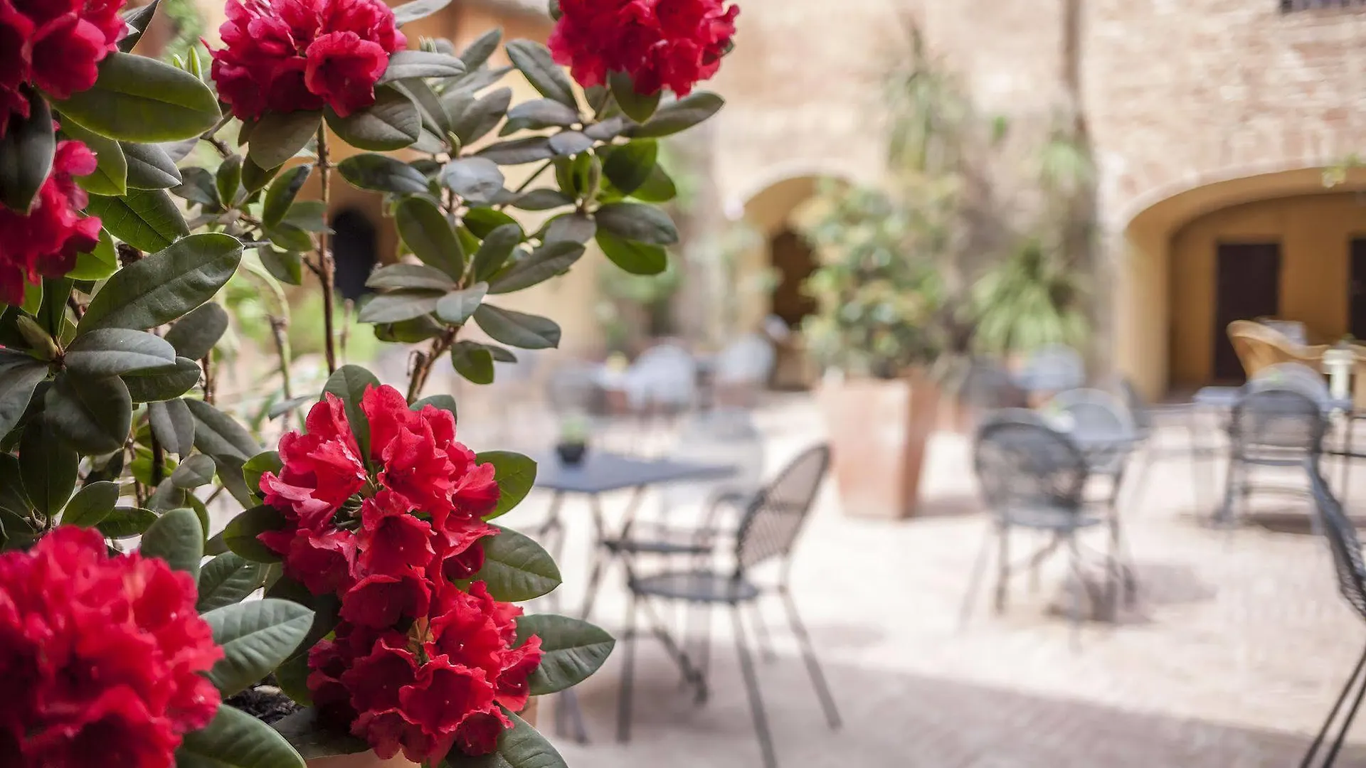 Il Chiostro Del Carmine Hotell Siena