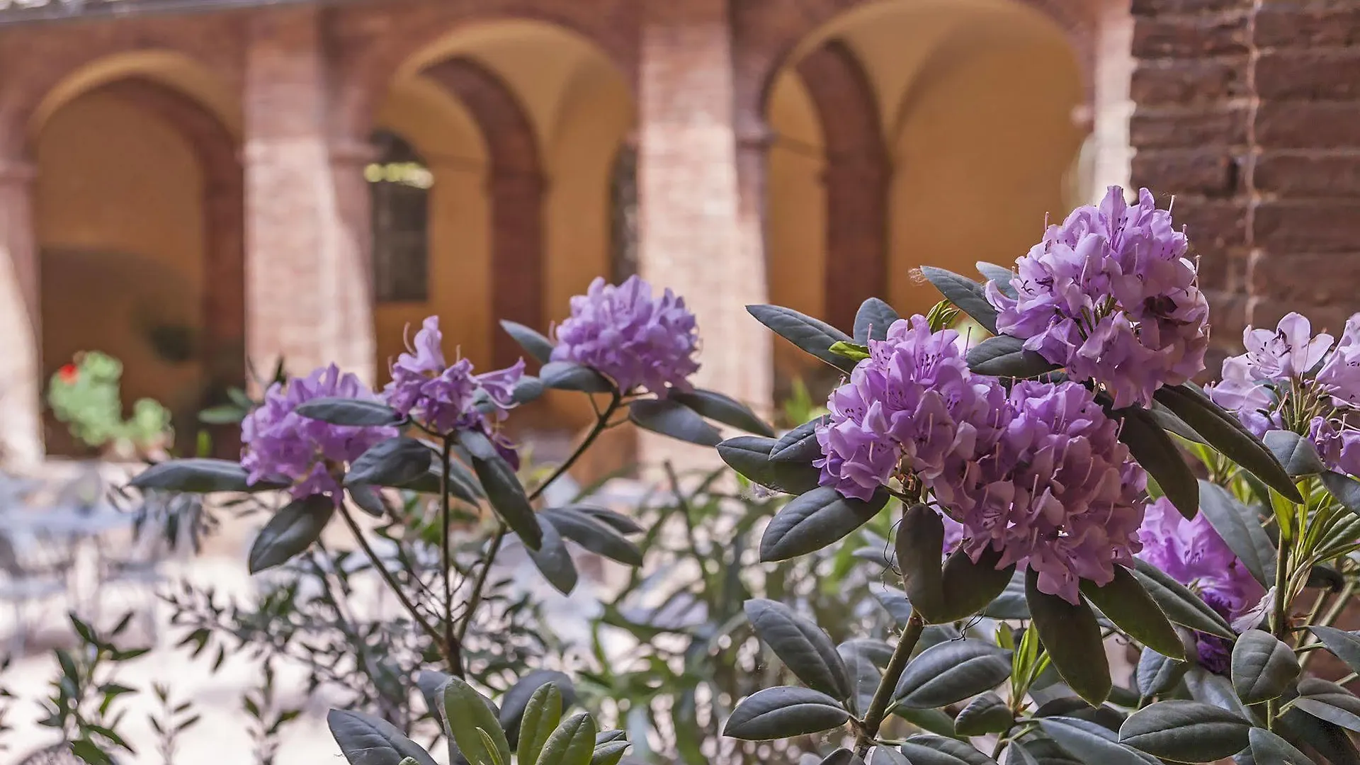 מלון סיינה Il Chiostro Del Carmine